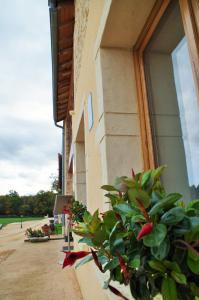 B&B / Chambres d'hotes Domaine Joseph LAFARGE Wine Resort B&B : photos des chambres