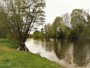 Appartements Joli petit T4 confortable au bord de leau : photos des chambres