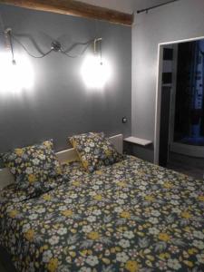 Appartements Agreable duplex au centre ville de Brioude : photos des chambres