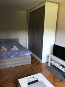Apartman “Reka Gradac”