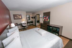 Premium King Room Smoke Free (Upgraded Bedding & Snack) room in Red Roof Inn PLUS+ Baltimore - Washington DC/BWI South