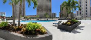 Waikiki Banyan 3410 Stunning Ocean, Surfer & Sunset Views