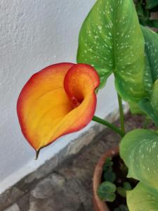 Monolocale da Mariolina