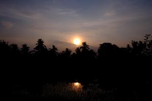 Ubud Hidden Villa Yone village