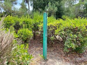 Maisons de vacances Cottage with a big idyllic garden at the lake : photos des chambres