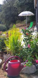 Maisons de vacances Soluna : photos des chambres