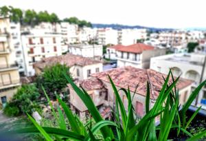 Penthouse in center of sparta