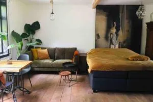 Studio Mika met whirlpool! - Westerland