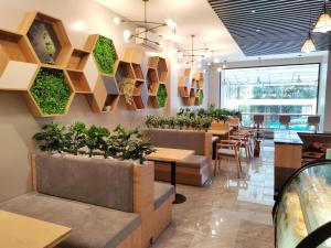 Hong Hao Hostel and Motorbikes