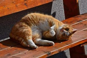 Ferienwohnung Heimberger