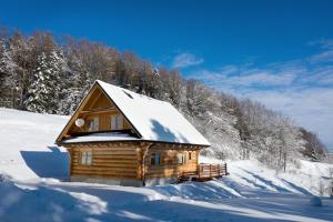 Chata na Kowalówkach - domek w górach - blisko szlaków i wyciągu