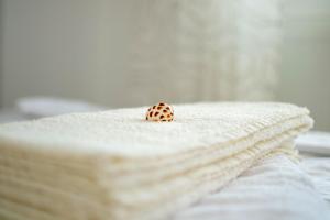 Apartament Lara