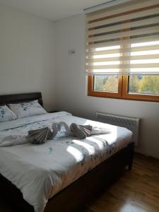 Apartman Teodora Zlatibor