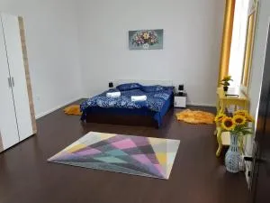 Apartament 12 Central - Curteni