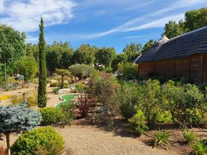 Complexes hoteliers Camping La Pinede : photos des chambres