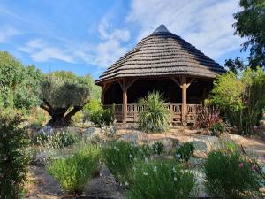 Complexes hoteliers Camping La Pinede : photos des chambres