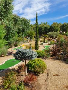 Complexes hoteliers Camping La Pinede : photos des chambres