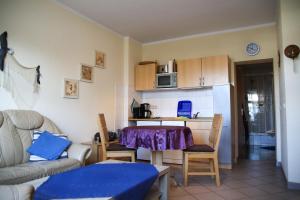 Seepferdchen Warnemünde