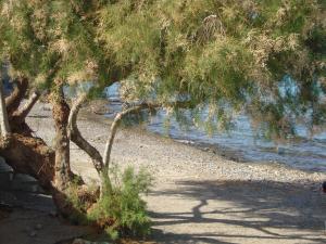 Escape In Blue Heraklio Greece