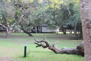 Coral Divers - Хлухлуве