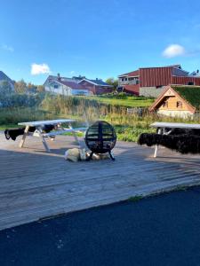 Midnattsol rom og hytter