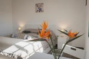 VistalRoque - Granadilla de Abona