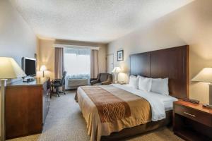 Comfort Inn & Suites Seattle North