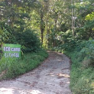 ECO Bedugul adventurer camp