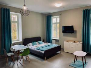 Superior Studio room in Hotel Jedlinka