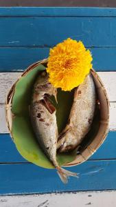 I - Talay Taling Ngam Samui - เขา ป่า นา เล ตลิ่งงาม สมุย