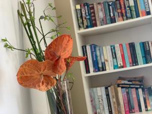 Buganvília Holidays