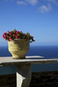 Great Tinos Villa Villa Kato Spiti Sea View Triantaros Tinos Greece