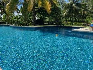 Sand Dollar Beach Bed & Breakfast - Big Bight