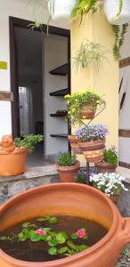 Hotel Villa Sofia