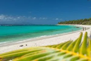 Habitation Noelesse - Beauregard