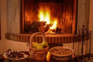 Hotel Los Castaños - 巴尔韦尔德德尔卡米诺