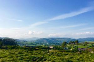 Tollymore Luxury Log Cabin