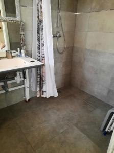 Appartements Les violettes : photos des chambres