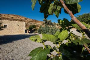 Villa Galliki Heraklio Greece