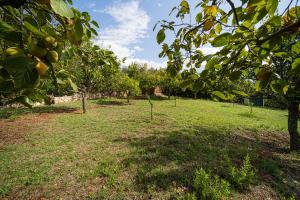 Villa Medina - Goelba