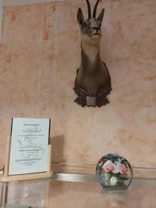 Hotels Hotel La Montagne Fleurie : photos des chambres