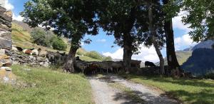 Hotels Hotel La Montagne Fleurie : photos des chambres