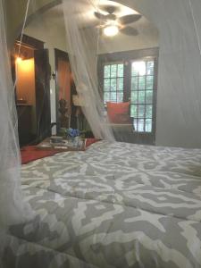 Heavenly Suite in Little Havana Free Parking