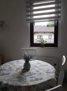 Vila Irina - Apartman Miloš