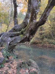 Alojamientos Rurales La Hoz