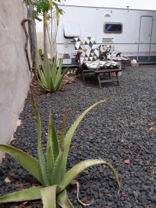 "Lapa" Caravan Apartamento