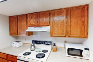 Mountainside Resort III