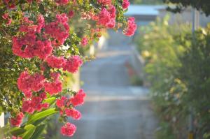 イリワ -stay&coffee iriwa-