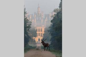 Maisons de vacances Les Bruyeres de Jeanne et Rene Zoo de Beauval a 20min,Chateaux TOUT INCLUS : Maison 2 Chambres