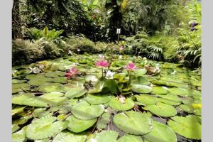 EEs Whale House - Homestay 3 min walk to beach